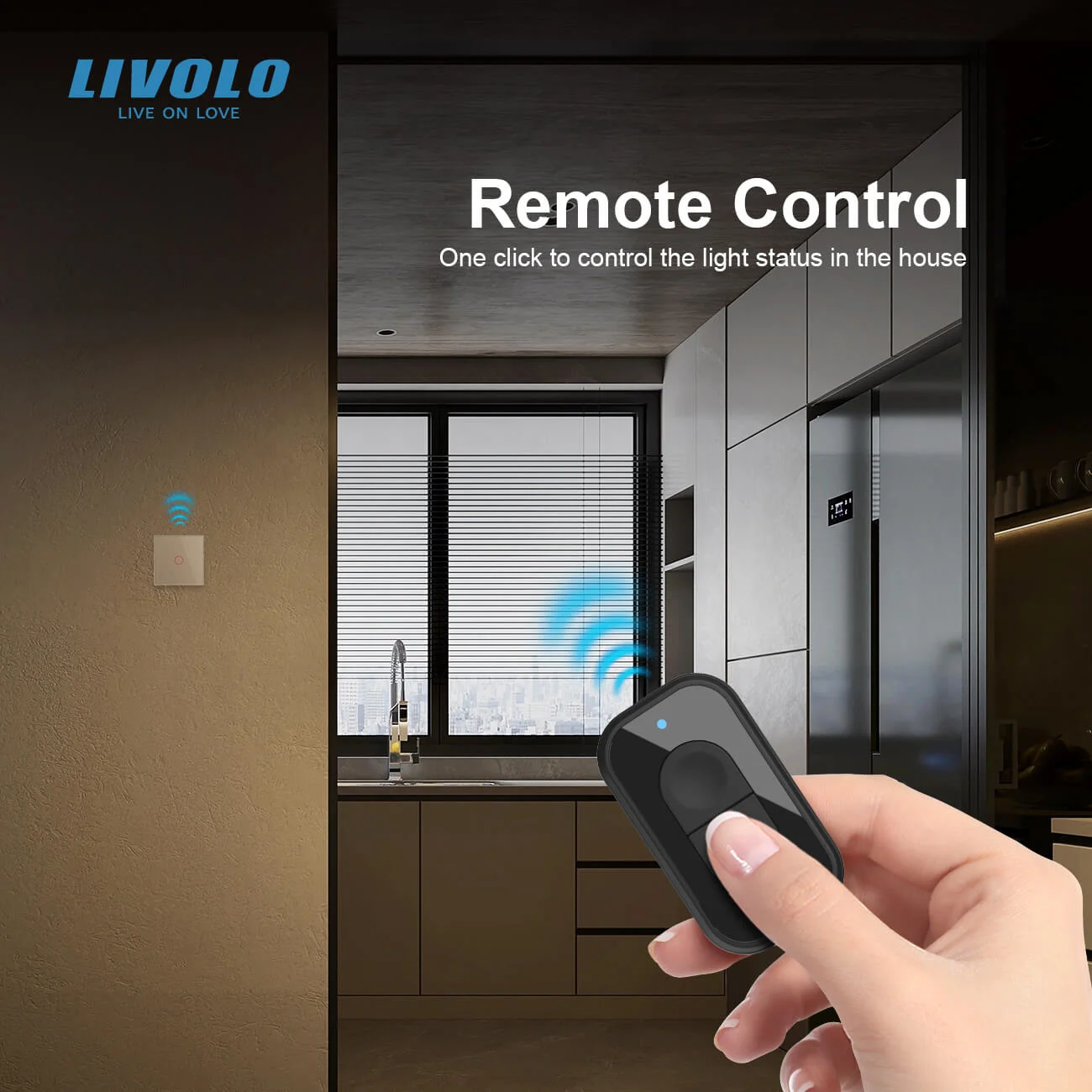 Wireless Remote Control